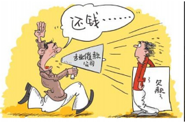 平湖专业讨债公司有哪些核心服务？